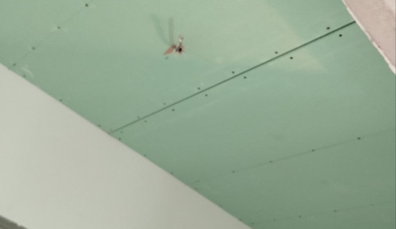 Портфолио — фото-52_5